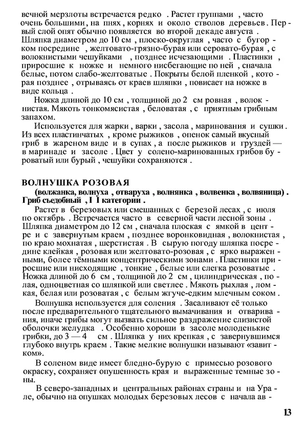 Б. Андрест - Грибы. Каталог - Страница № 14