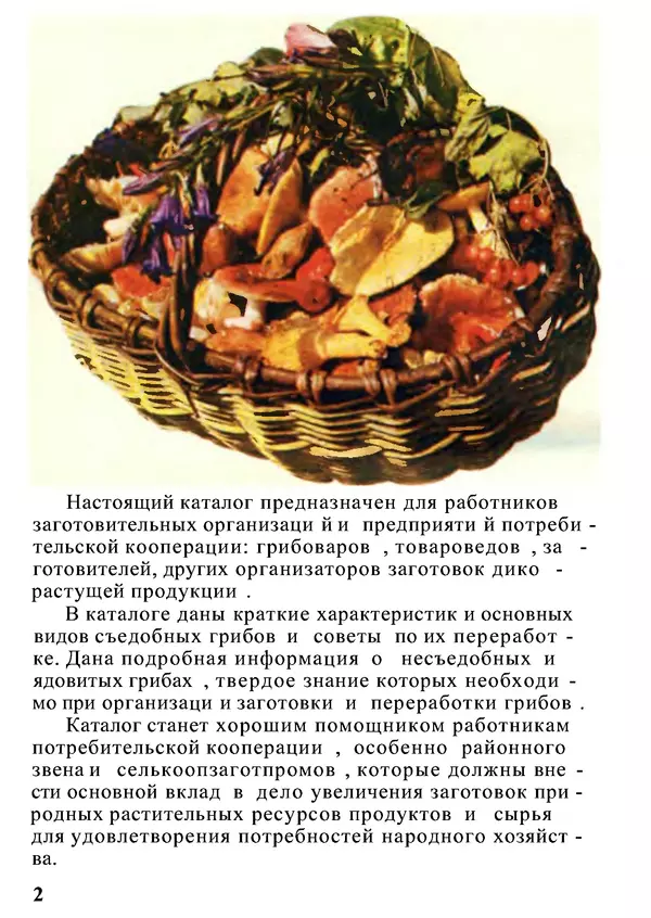 Б. Андрест - Грибы. Каталог - Страница № 3