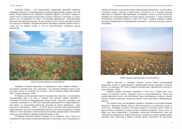 О. Демина - Сказочный цветок из «Тысячи и одной ночи», или остров тюльпанов - Страница № 4