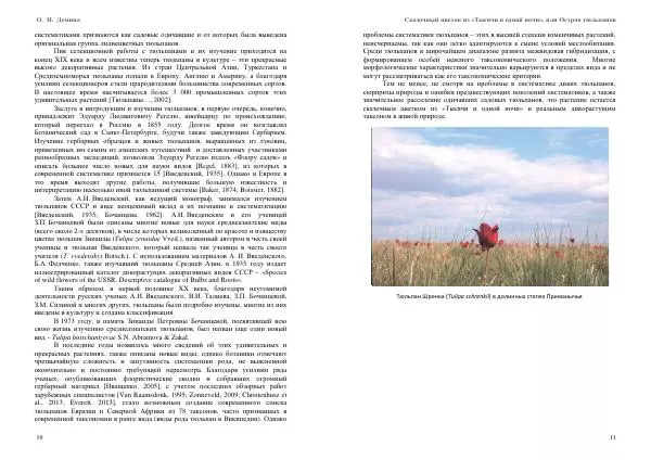 О. Демина - Сказочный цветок из «Тысячи и одной ночи», или остров тюльпанов - Страница № 6