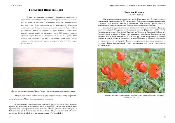 О. Демина - Сказочный цветок из «Тысячи и одной ночи», или остров тюльпанов - Страница № 7