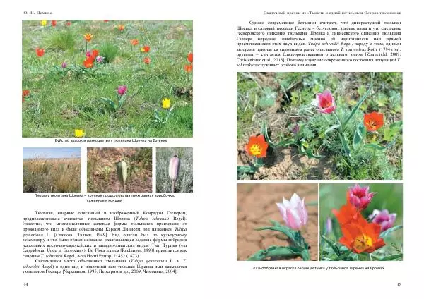 О. Демина - Сказочный цветок из «Тысячи и одной ночи», или остров тюльпанов - Страница № 8