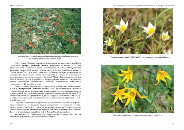 О. Демина - Сказочный цветок из «Тысячи и одной ночи», или остров тюльпанов - Страница № 24