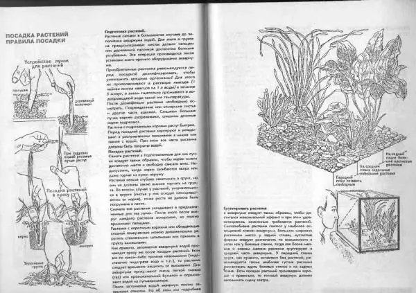 Ганс Фрей - Твой аквариум - Страница № 14