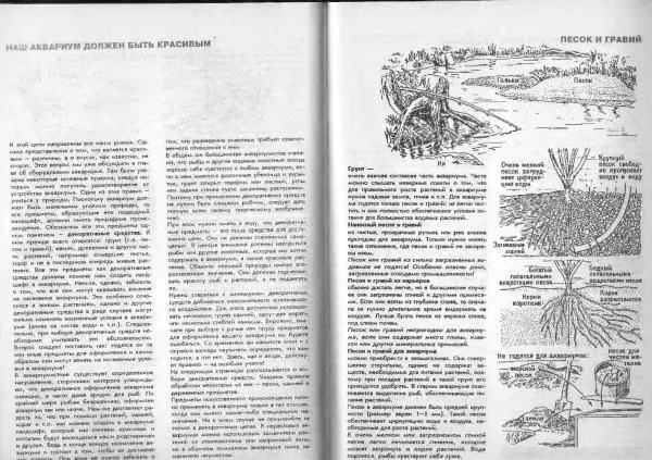 Ганс Фрей - Твой аквариум - Страница № 16