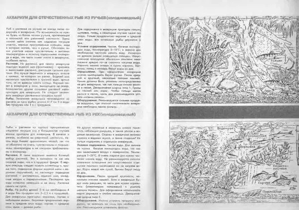 Ганс Фрей - Твой аквариум - Страница № 28