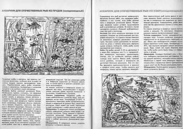 Ганс Фрей - Твой аквариум - Страница № 29