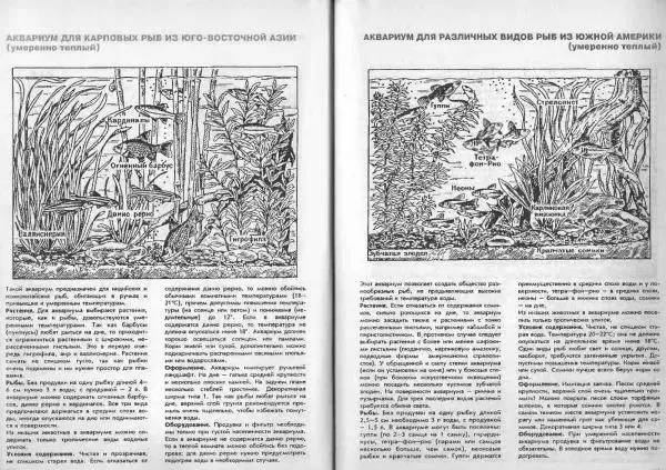 Ганс Фрей - Твой аквариум - Страница № 31