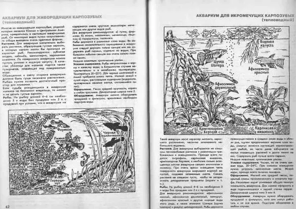 Ганс Фрей - Твой аквариум - Страница № 33