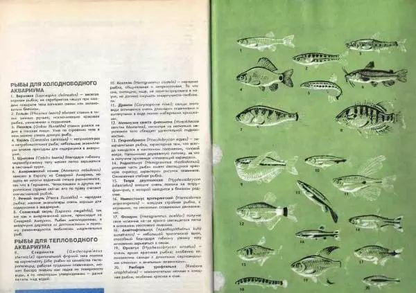 Ганс Фрей - Твой аквариум - Страница № 34