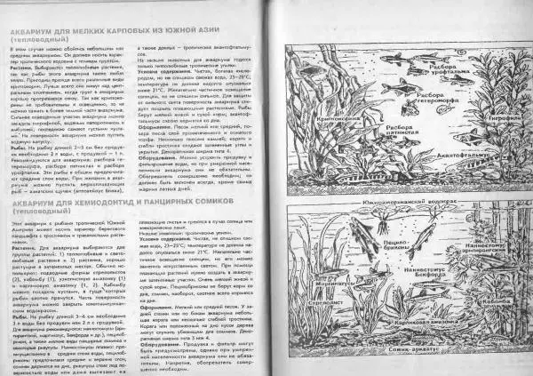 Ганс Фрей - Твой аквариум - Страница № 37