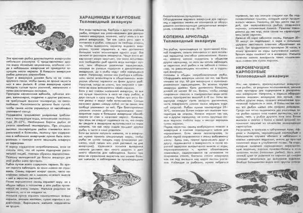 Ганс Фрей - Твой аквариум - Страница № 43