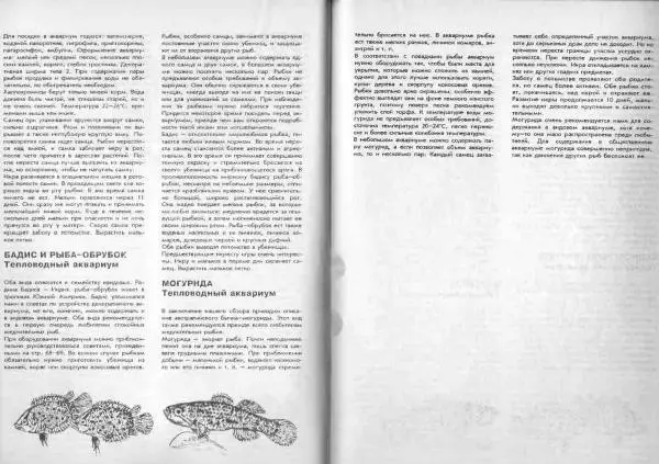 Ганс Фрей - Твой аквариум - Страница № 46