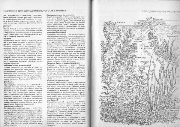 Ганс Фрей - Твой аквариум - Страница № 47