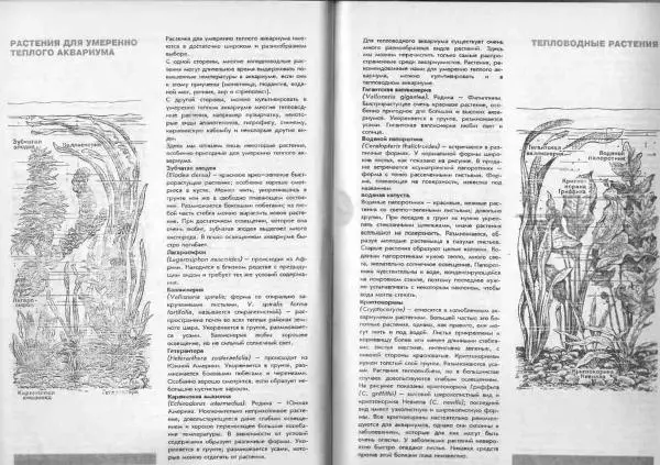 Ганс Фрей - Твой аквариум - Страница № 48