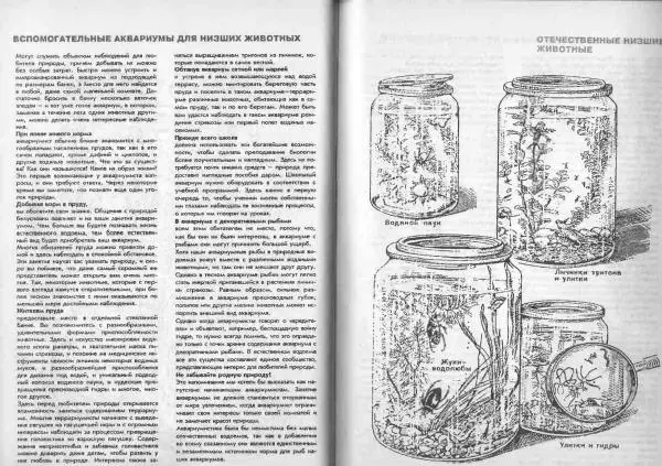 Ганс Фрей - Твой аквариум - Страница № 50