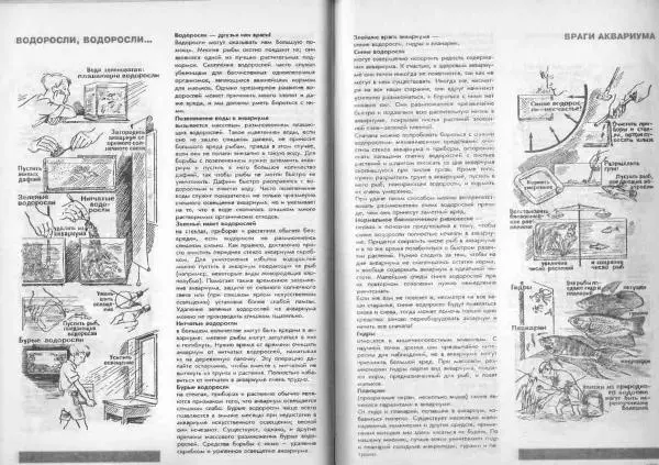 Ганс Фрей - Твой аквариум - Страница № 58