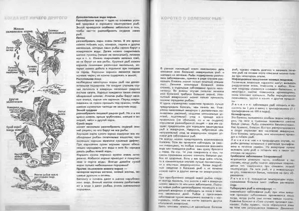 Ганс Фрей - Твой аквариум - Страница № 61