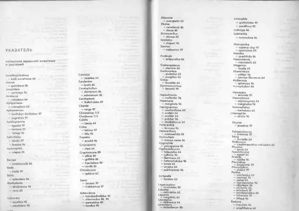 Ганс Фрей - Твой аквариум - Страница № 64