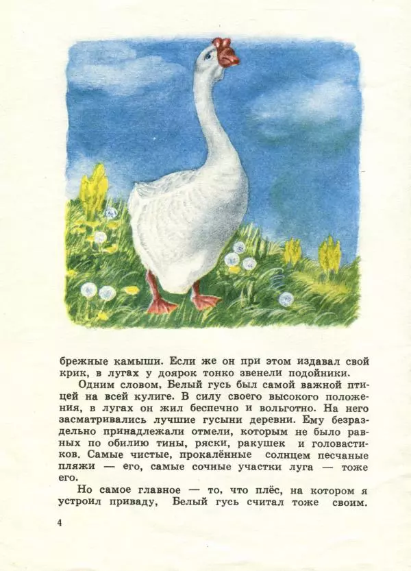 Евгений Носов - Белый гусь - Страница № 4 Евгений Носов - Белый гусь - Страница № 4