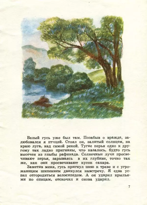 Евгений Носов - Белый гусь - Страница № 7 Евгений Носов - Белый гусь - Страница № 7