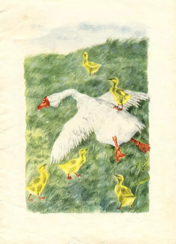 Евгений Носов - Белый гусь - Страница № 19 Евгений Носов - Белый гусь - Страница № 19