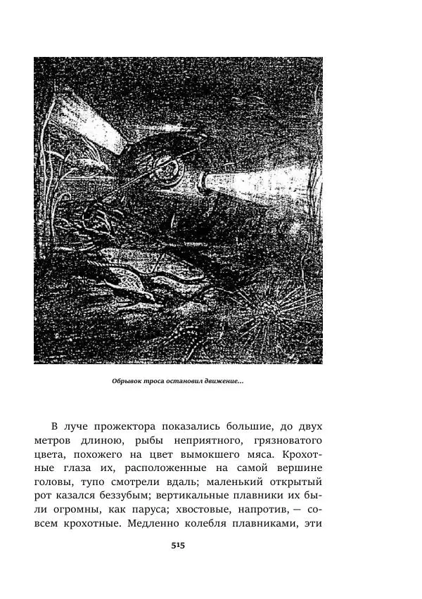 Валерий Язвицкий - Пленники огня - Страница № 515