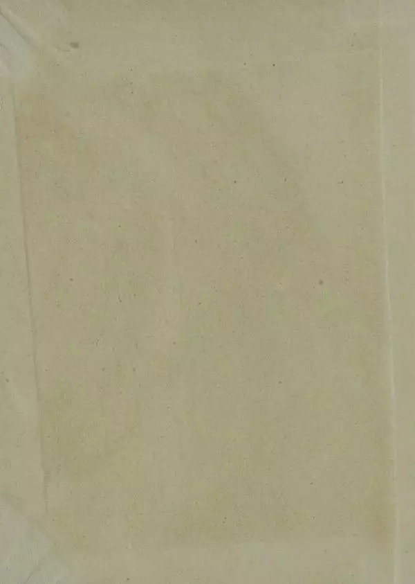 В. Лейман - Ваня-свиновод - Страница № 2