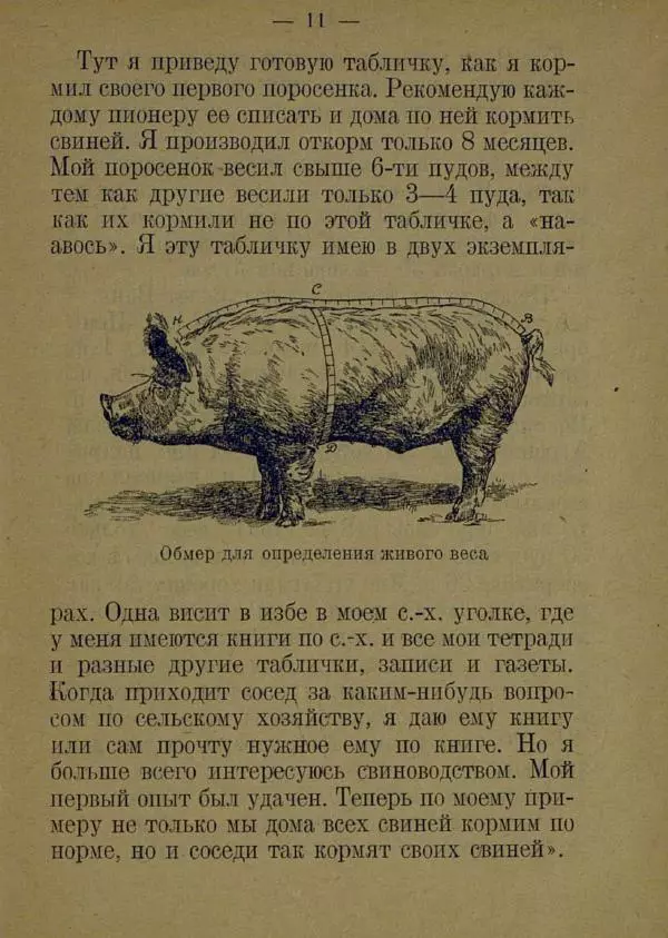 В. Лейман - Ваня-свиновод - Страница № 15