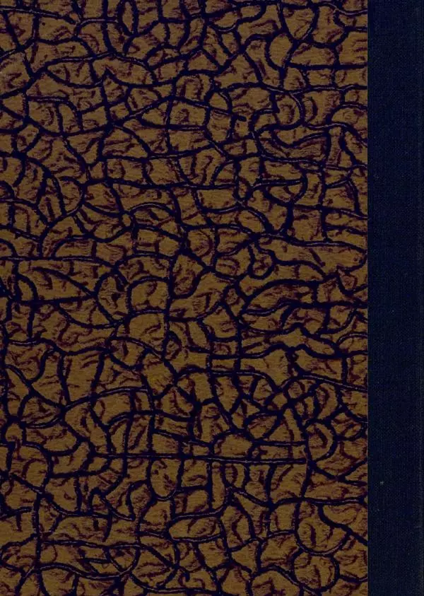 В. Лейман - Ваня-свиновод - Страница № 34