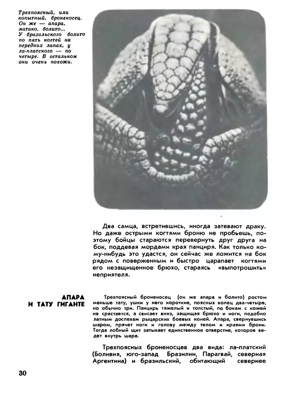 Игорь Акимушкин - Мир животных Том 2 - Страница № 30