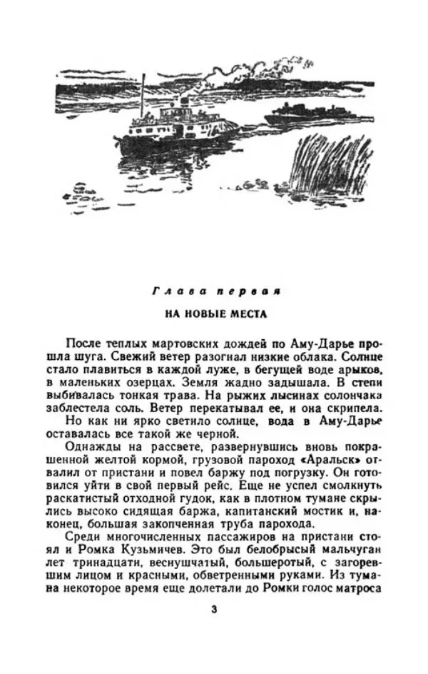 Владимир Степаненко - На золотых песках - Страница № 8