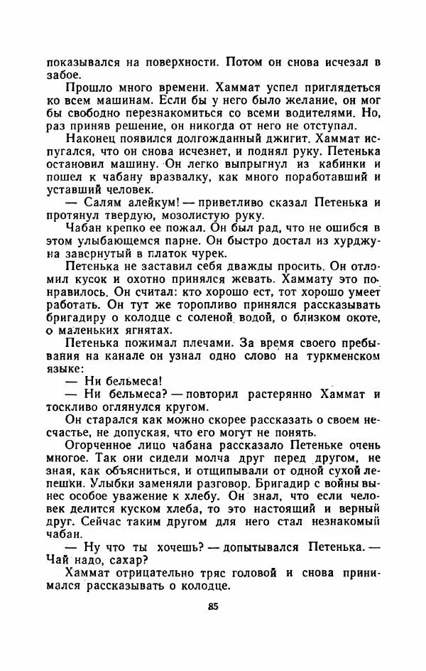 Владимир Степаненко - На золотых песках - Страница № 90
