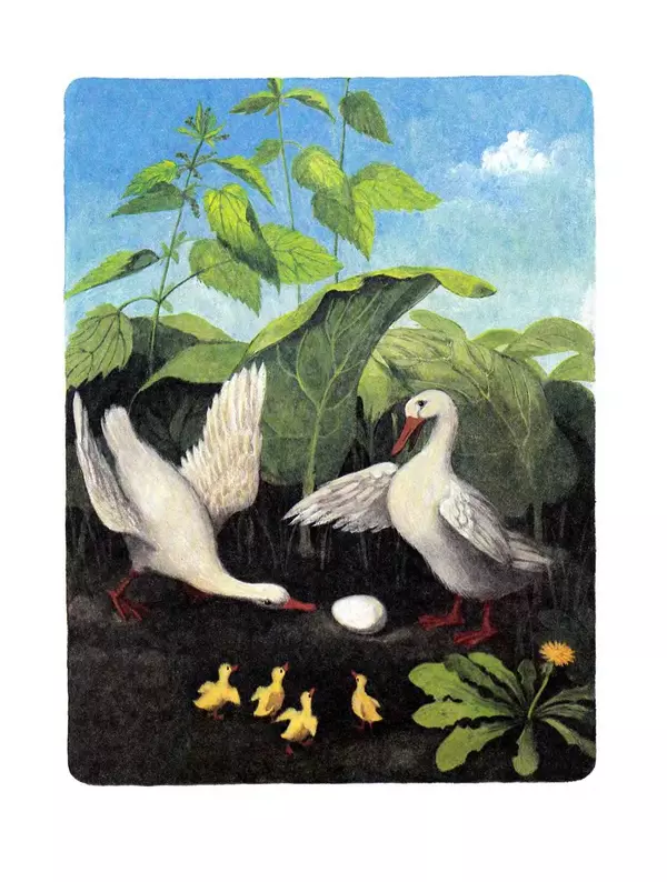 Ганс Андерсен - Стойкий оловянный солдатик и другие сказки - Страница № 12