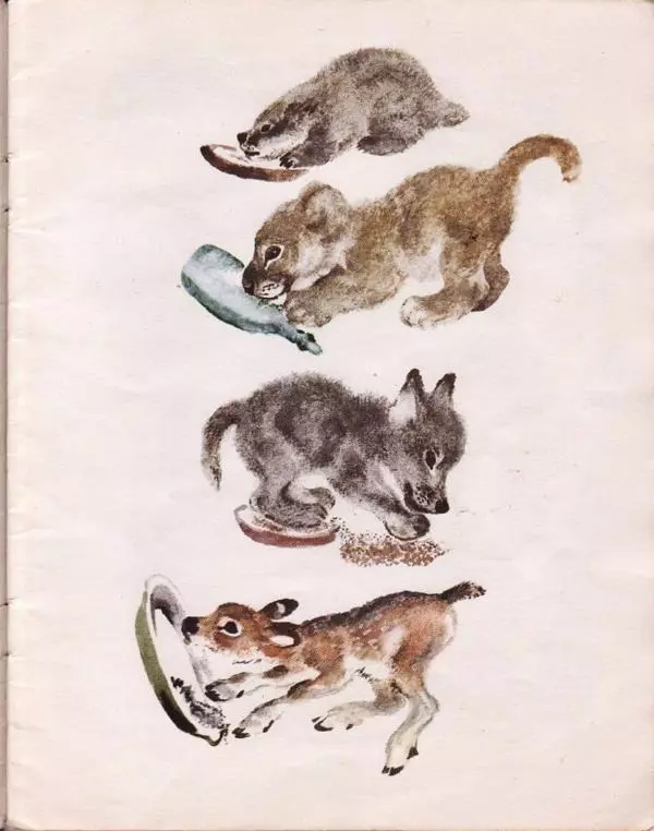 Евгений Чарушин - Детки в клетке - Страница № 7