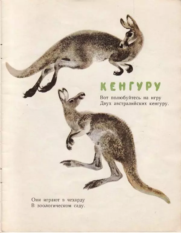 Евгений Чарушин - Детки в клетке - Страница № 21