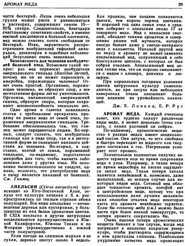 А. Рут - Энциклопедия пчеловодства - Страница № 29