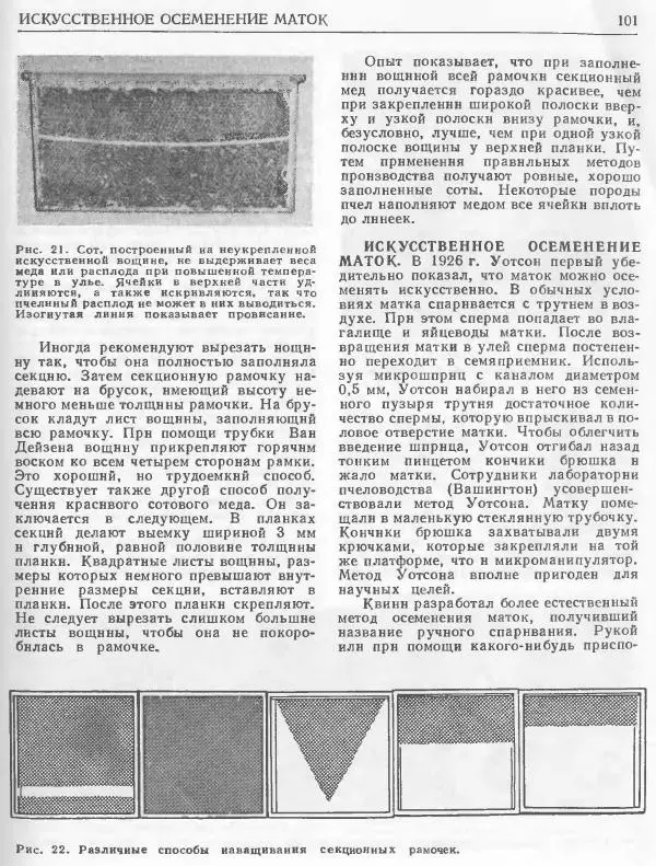 А. Рут - Энциклопедия пчеловодства - Страница № 101
