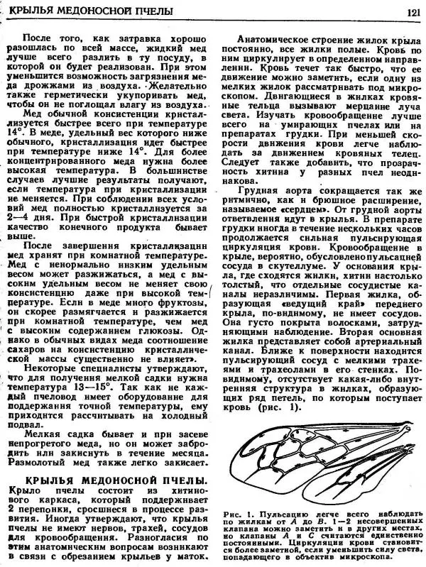 А. Рут - Энциклопедия пчеловодства - Страница № 121