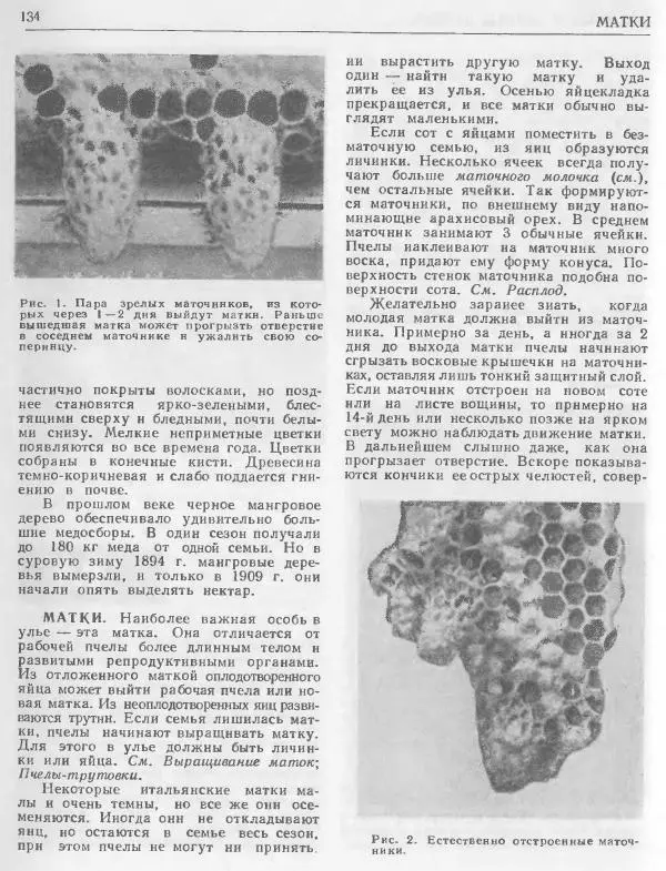 А. Рут - Энциклопедия пчеловодства - Страница № 134