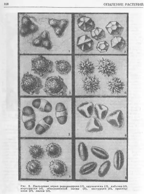 А. Рут - Энциклопедия пчеловодства - Страница № 168