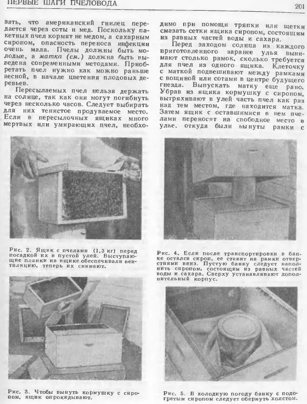 А. Рут - Энциклопедия пчеловодства - Страница № 201