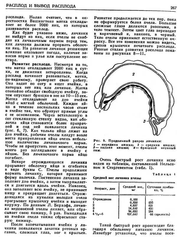 А. Рут - Энциклопедия пчеловодства - Страница № 267