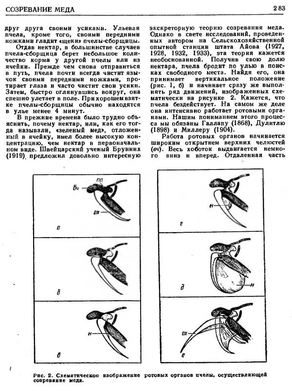 А. Рут - Энциклопедия пчеловодства - Страница № 283