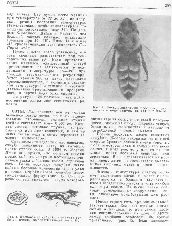А. Рут - Энциклопедия пчеловодства - Страница № 299