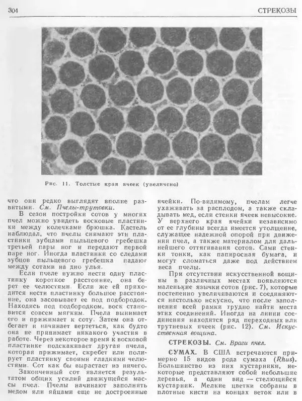 А. Рут - Энциклопедия пчеловодства - Страница № 304