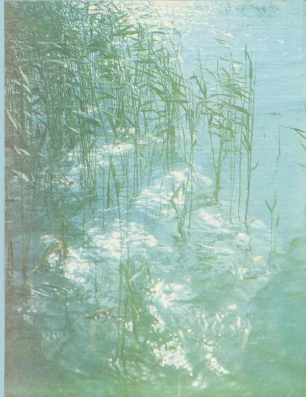 Б. Камилов - Справочник рыболова-любителя - Страница № 9