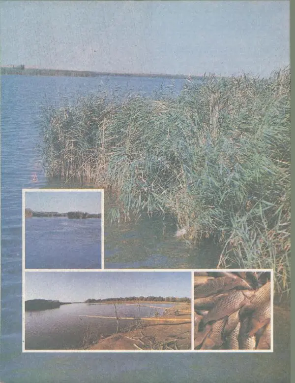 Б. Камилов - Справочник рыболова-любителя - Страница № 39