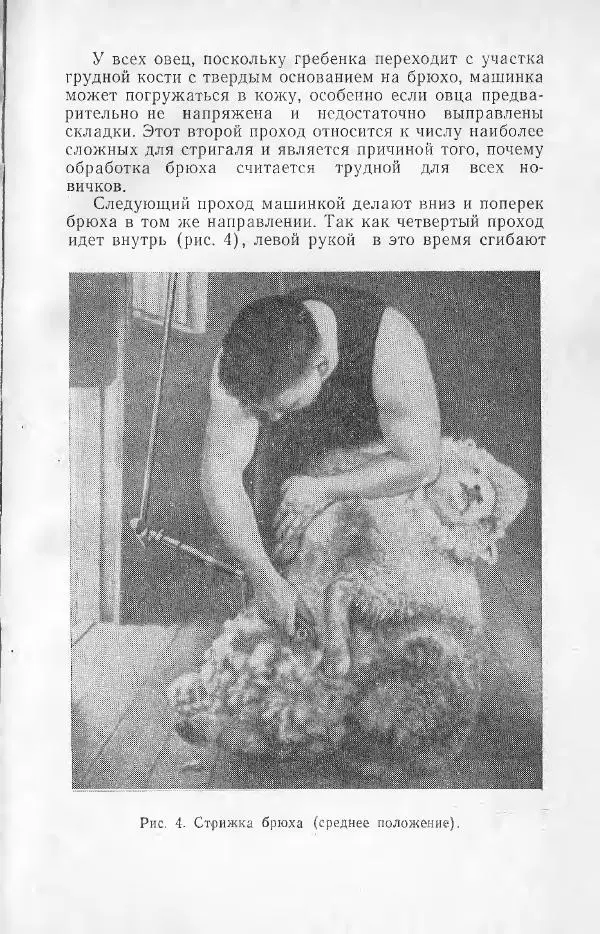 Годарри Боуэн - Мастерство стрижки овец - Страница № 37 Годарри Боуэн - Мастерство стрижки овец - Страница № 37