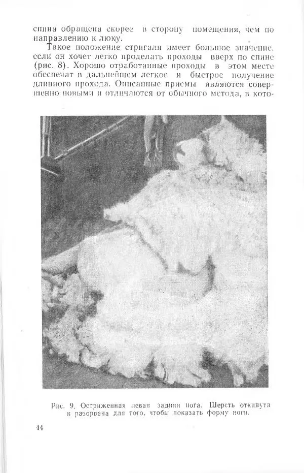 Годарри Боуэн - Мастерство стрижки овец - Страница № 44 Годарри Боуэн - Мастерство стрижки овец - Страница № 44